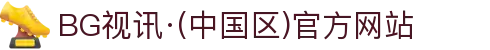 BG视讯·(中国区)官方网站